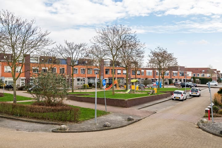 Foto 8 van Goudhaver 35