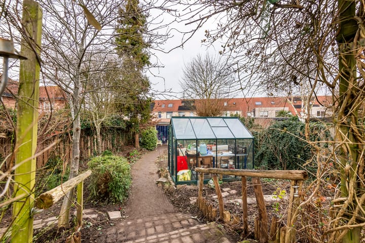 Foto 11 van Goudhaver 35