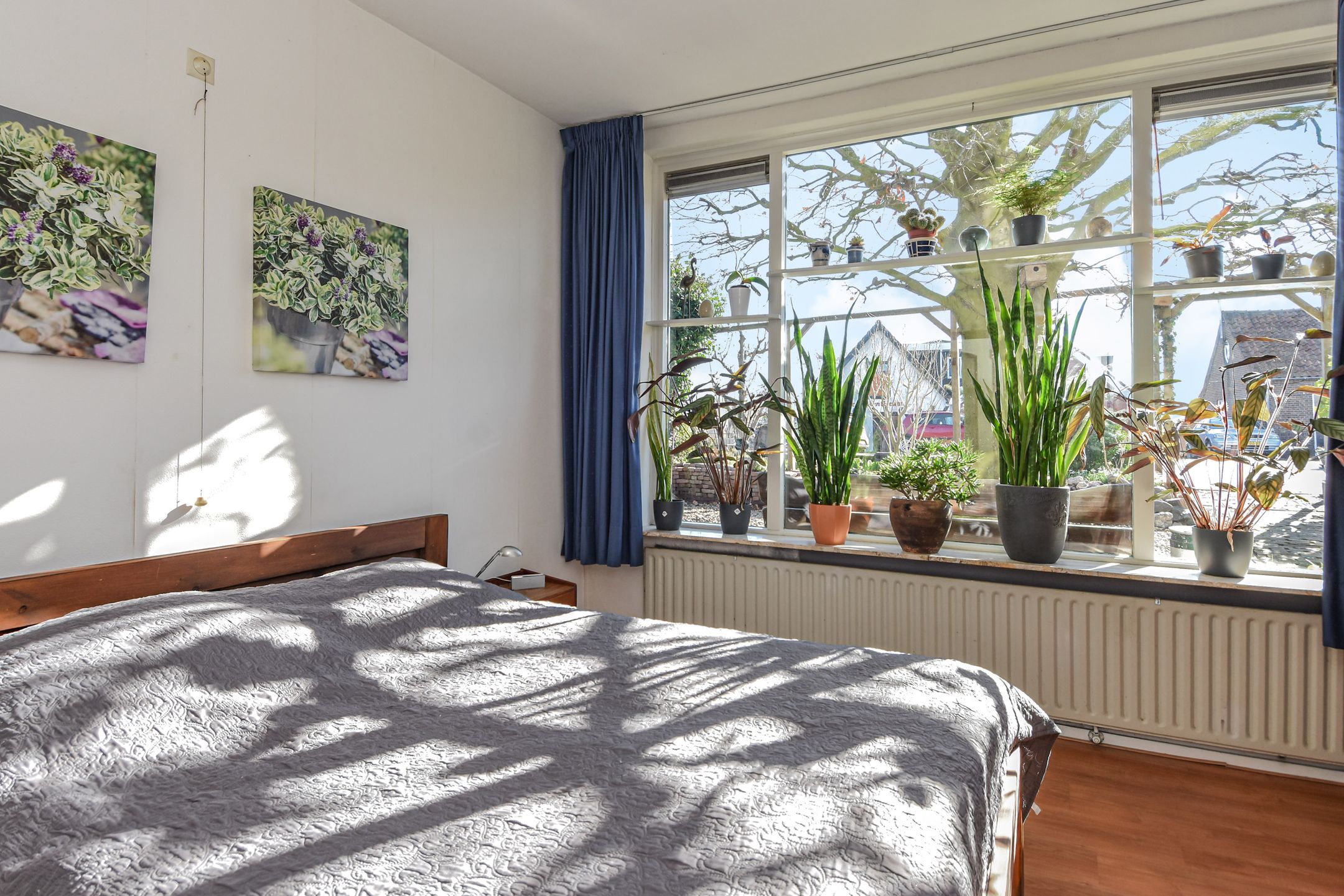 Photo 24 of Doctor van Noortstraat 73