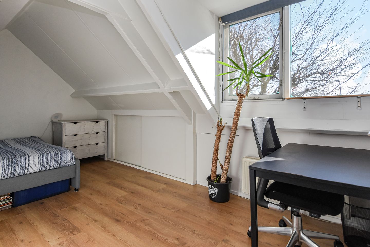 Photo 29 of Doctor van Noortstraat 73