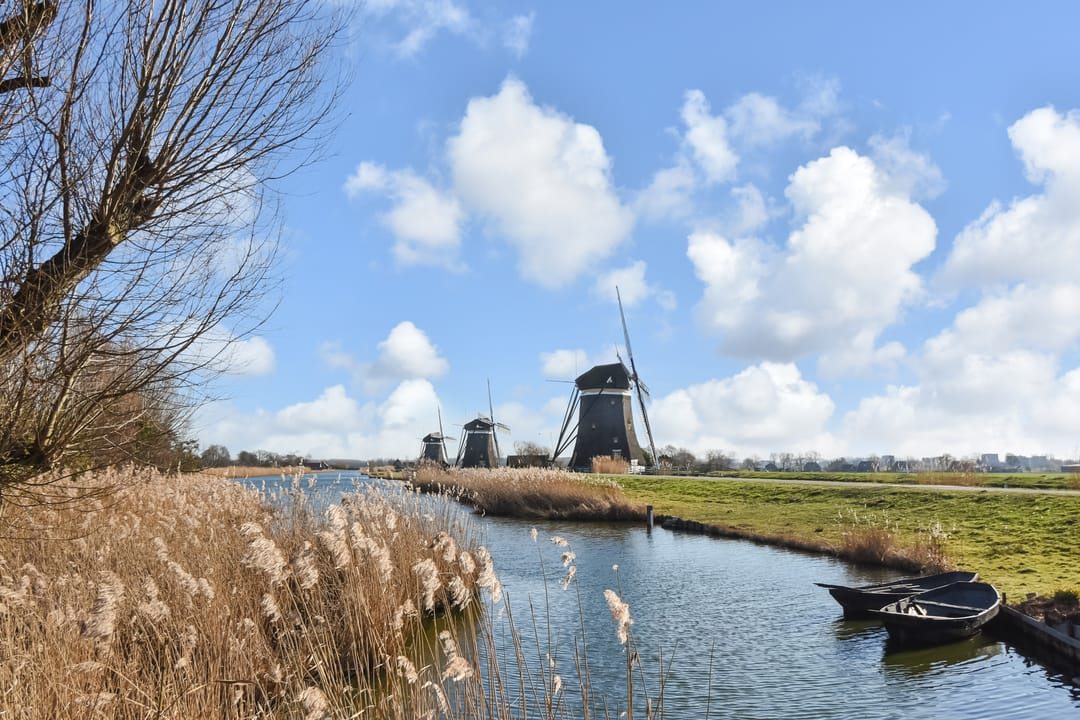 Photo 53 of Doctor van Noortstraat 73