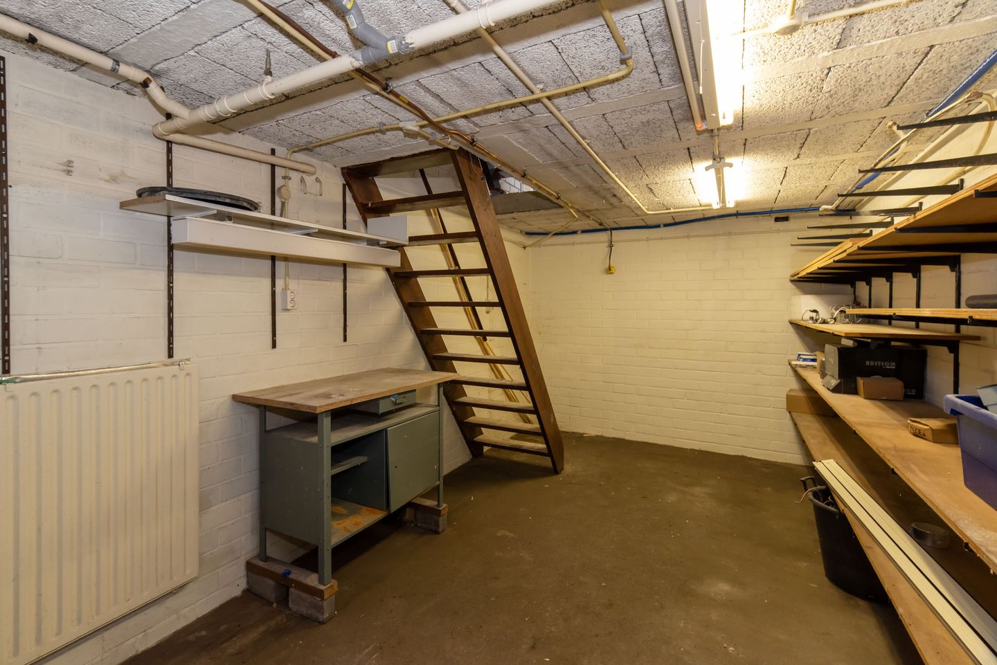 Foto 19 van Roelf Bosmastraat 92