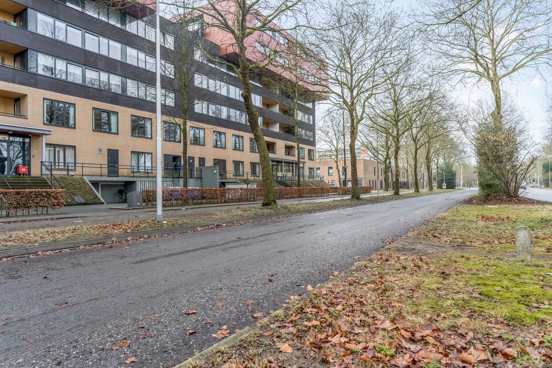 Foto 37 van Wadestein 84