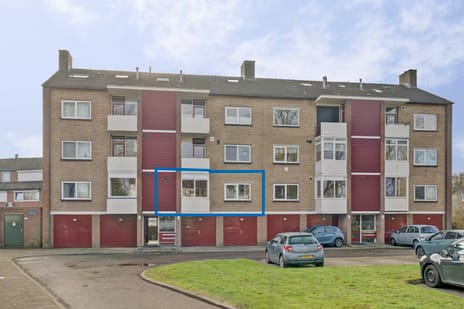 undefined main image