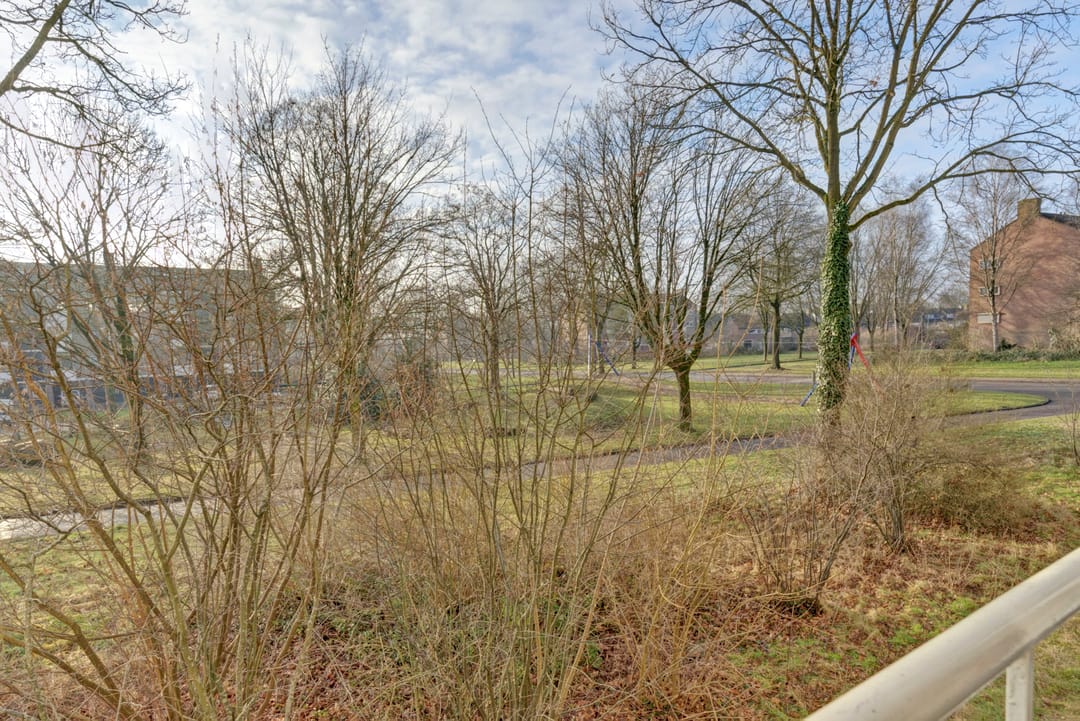 Foto 16 van Vogelplantsoen 126