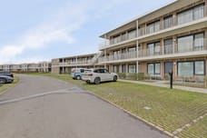 Afbeelding van Lamsoor 31 - Derde foto