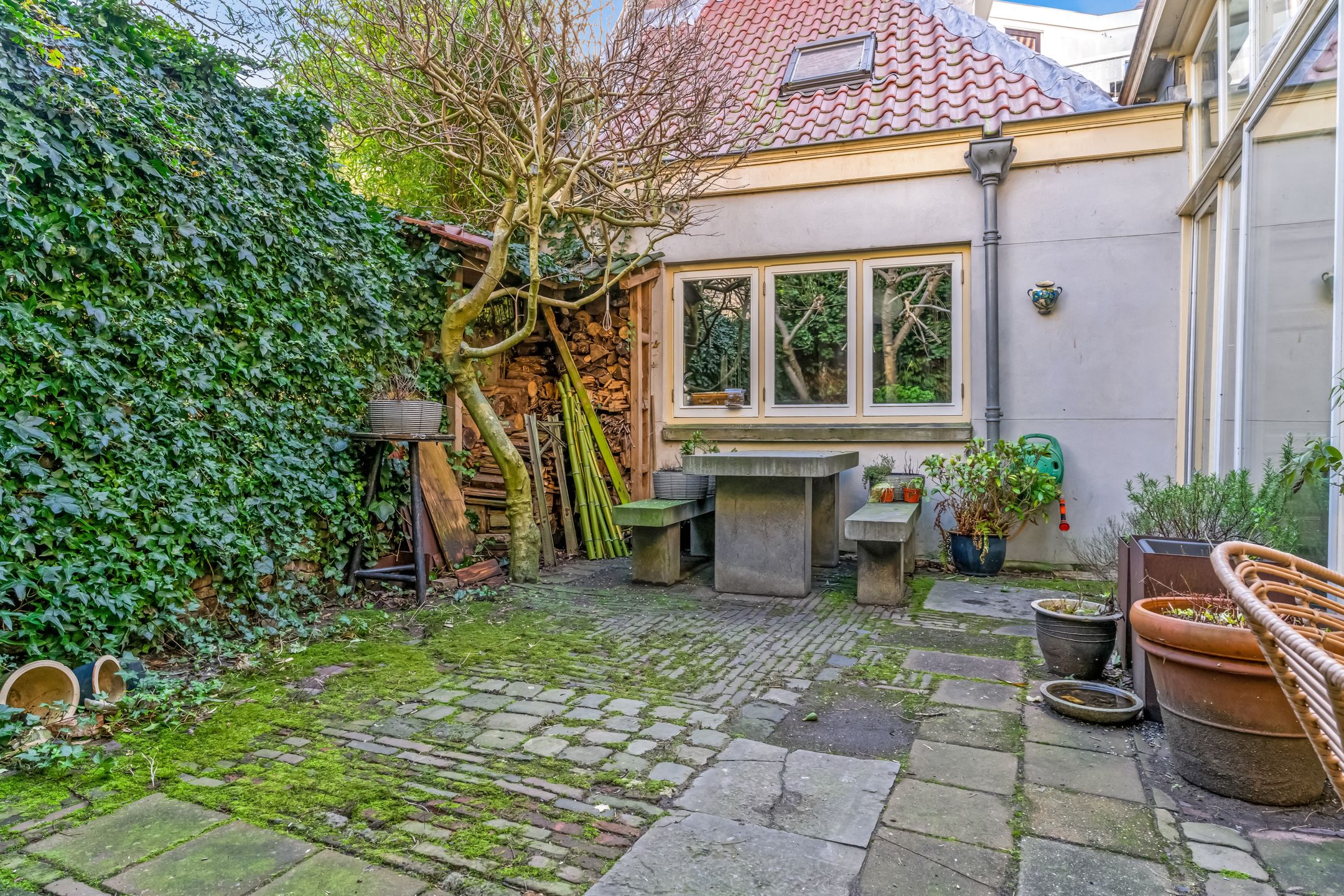 Foto 78 van Nieuwe Rijn 3