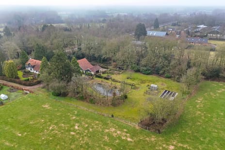 undefined main image