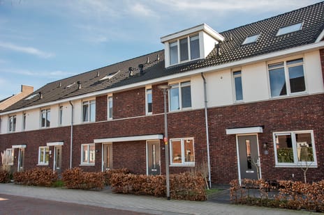 Rozenbottel thumbnail