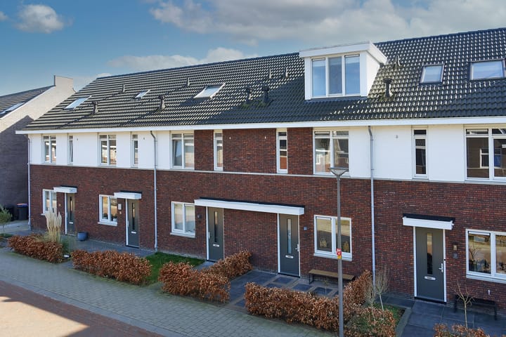 Foto 5 van Rozenbottel 14