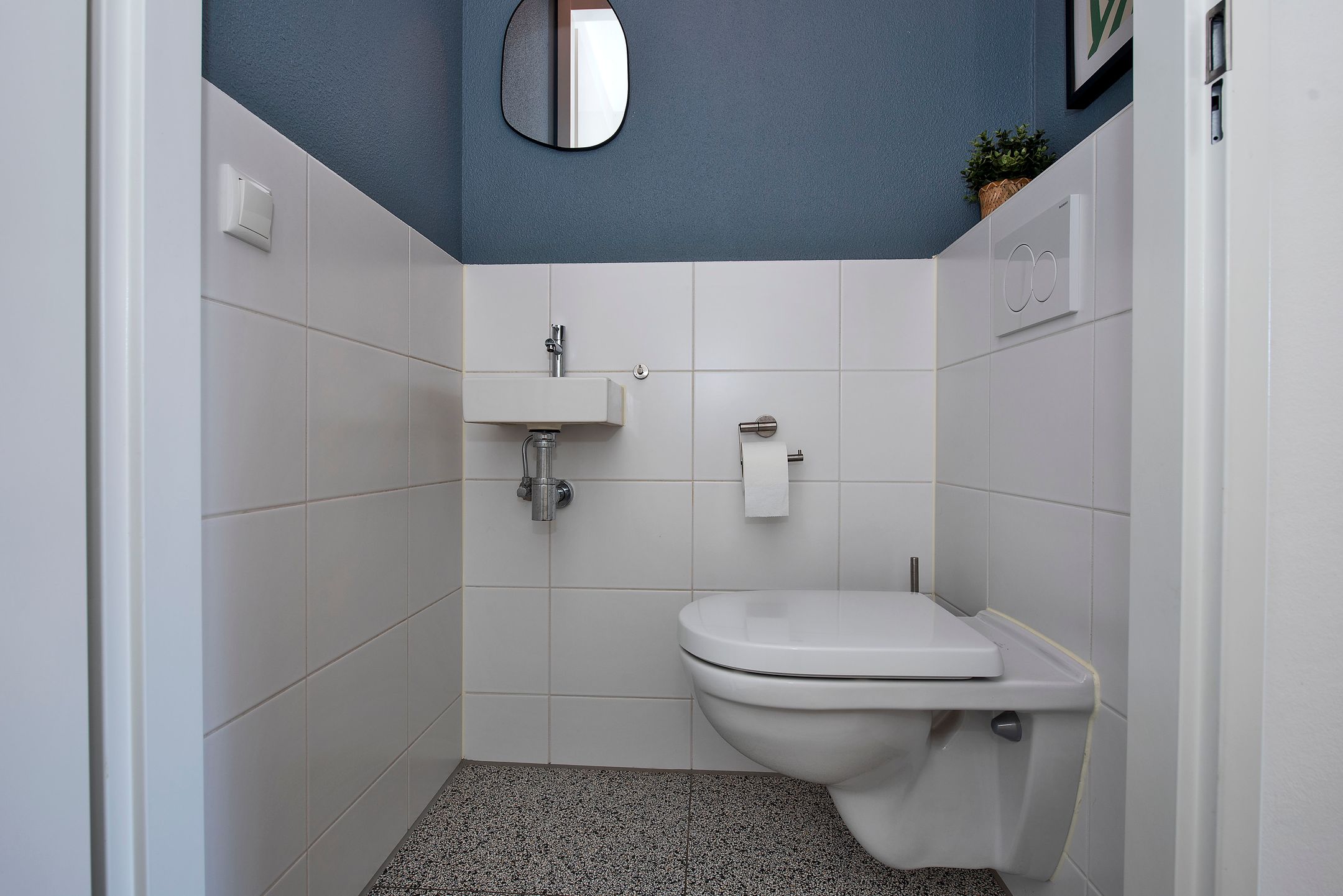 Foto 15 van Rozenbottel 14