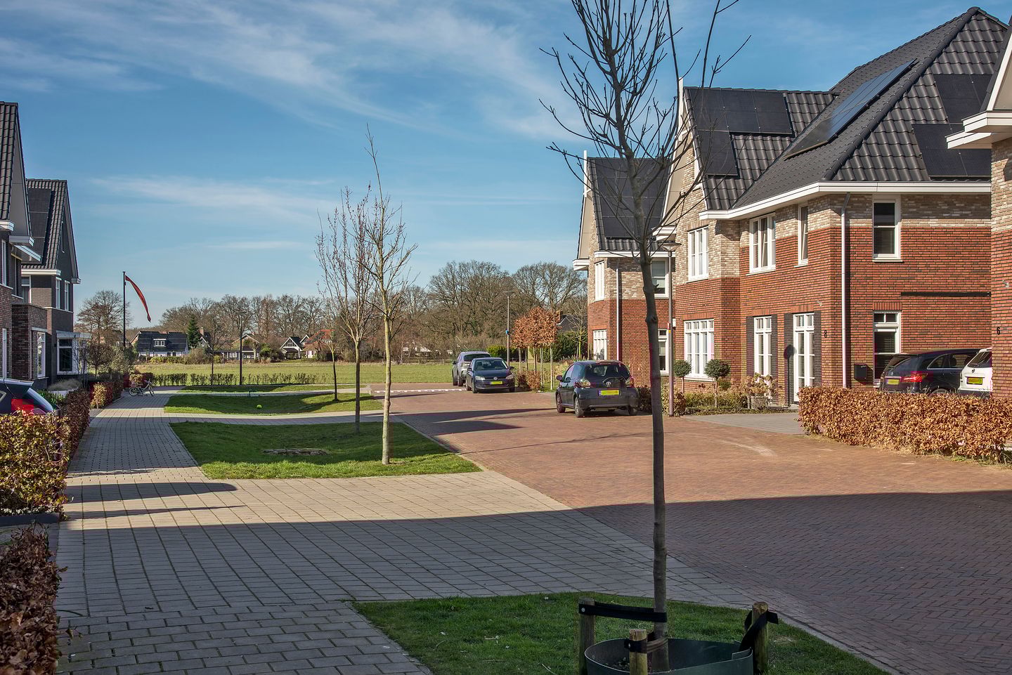 Foto 34 van Rozenbottel 14