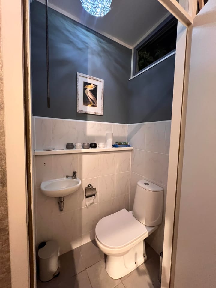 Foto 14 van Bizetstraat 55