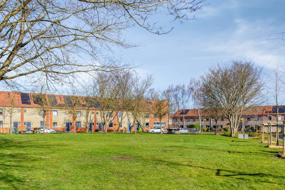 Foto 32 van Krekelkleuven 17