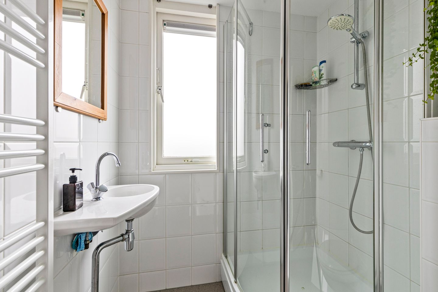 Foto 29 van Ds. Jacobus Borstiusstraat 4