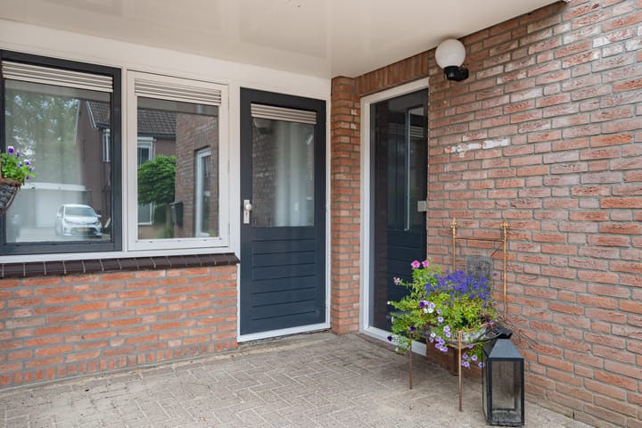 Foto 4 van Boterbloem 31