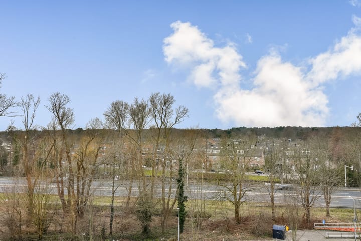 Photo 4 of Van Leeuwenhoekstraat 5-0046