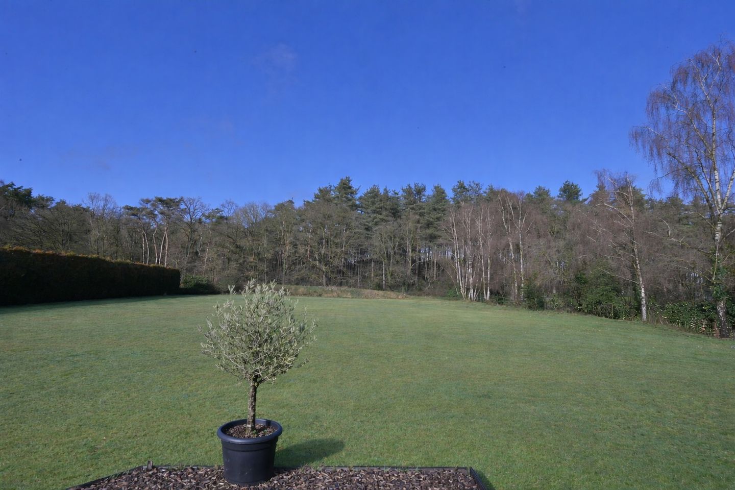 Exclusive Countryside Villa Adjacent to National Park Hoge Kempen — 8