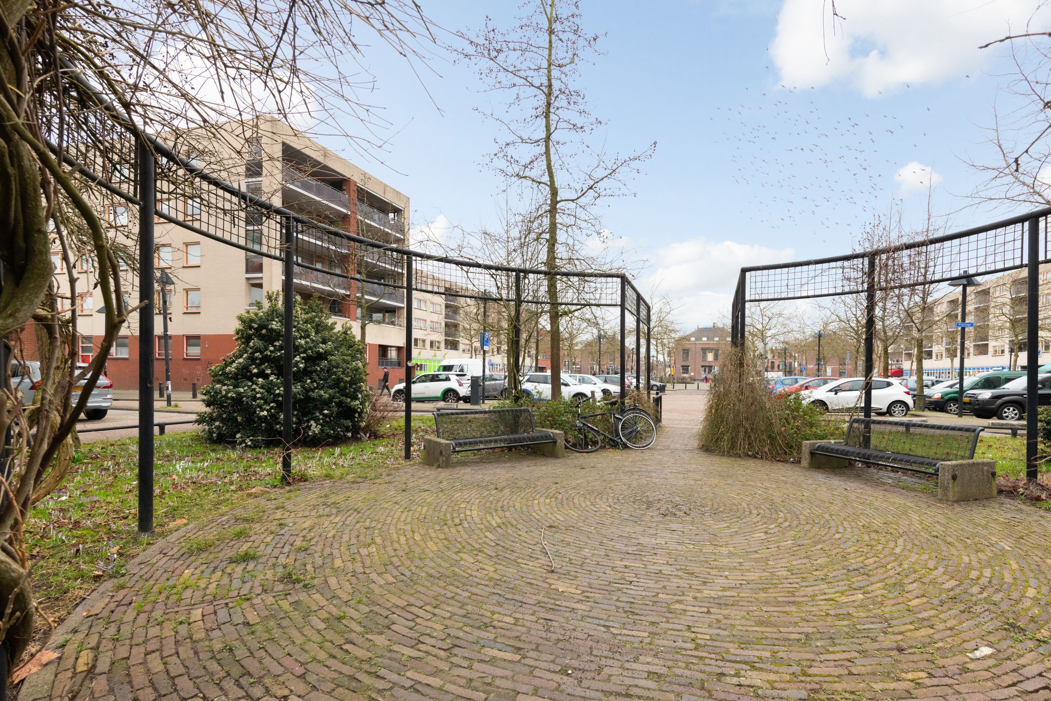 Foto 39 van Plantage 126