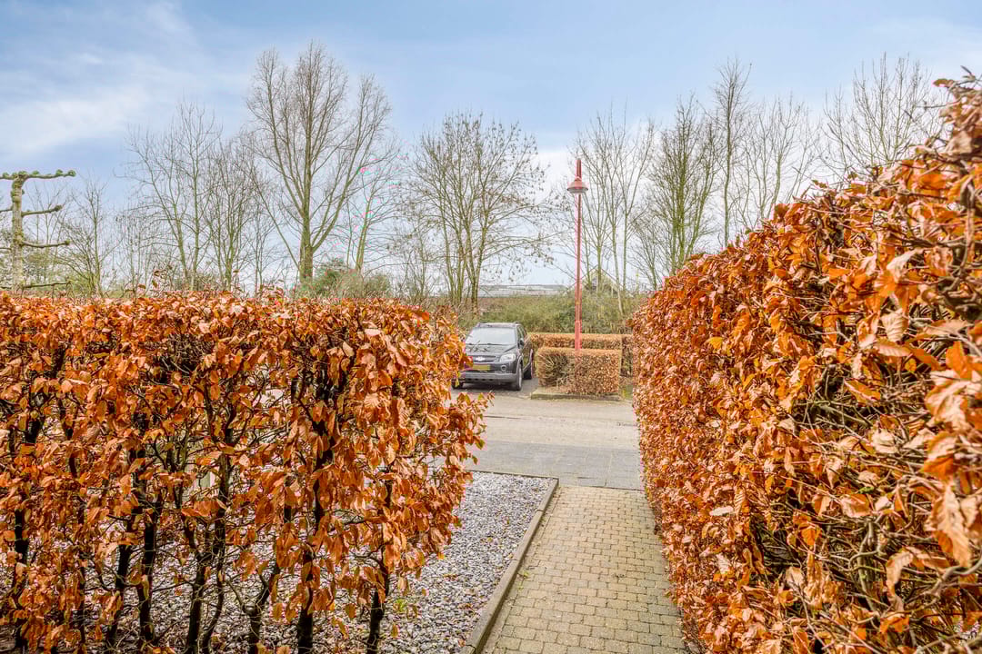 Foto 2 van Raperbeek 100