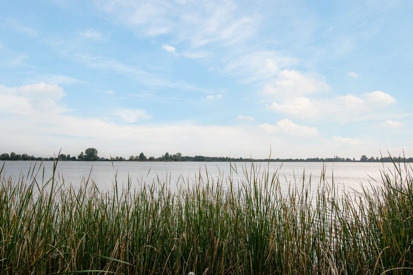 Foto 4 van Landtong tussen Klein Elfhoeven en Vrijhoef