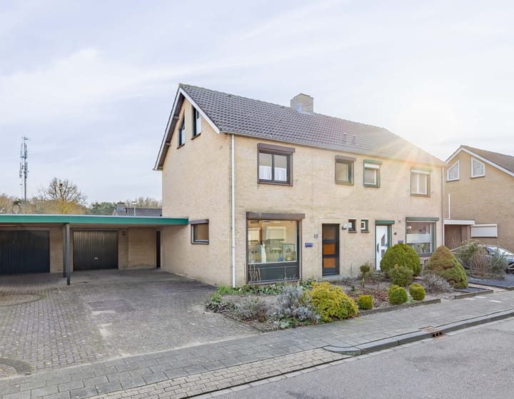 Pieter Breughelstraat 32