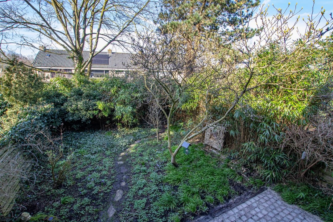 Foto 31 van Breelaan 8