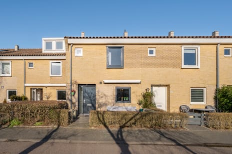 undefined main image