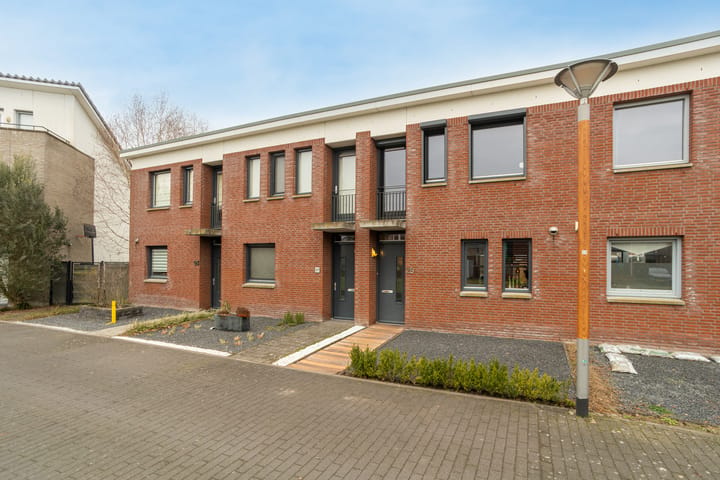 Foto 5 van Havikskruid 29
