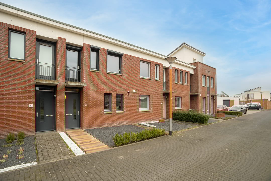 Foto 1 van Havikskruid 29