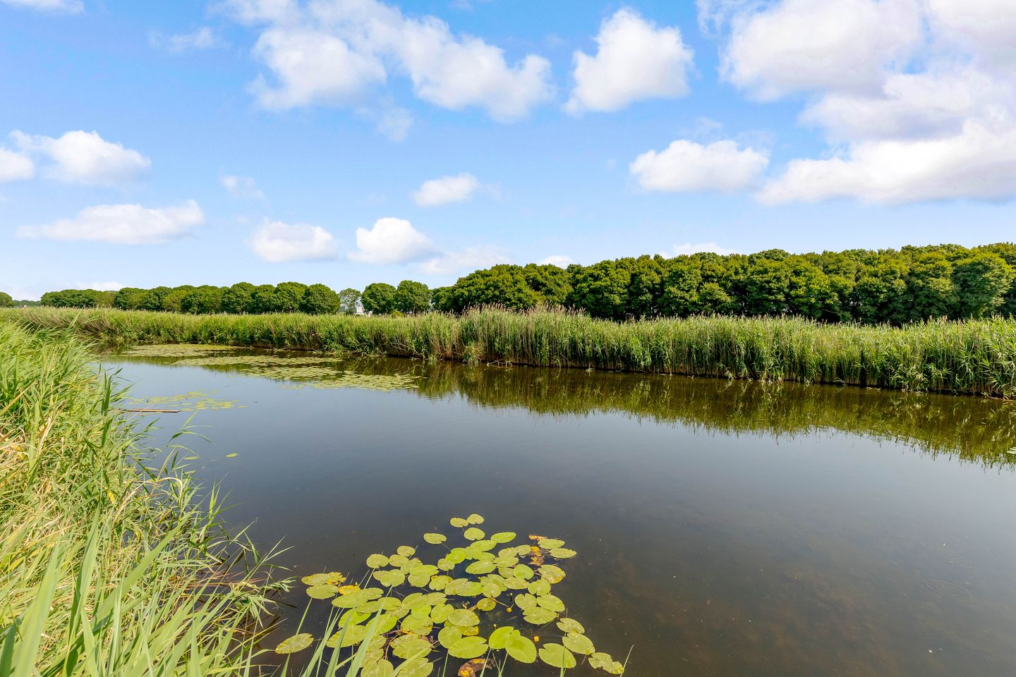 Foto 55 van Keizerarendlaan 19