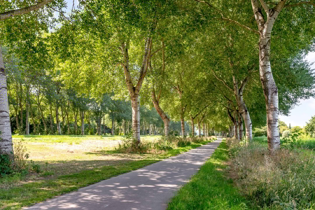 Foto 61 van Keizerarendlaan 19