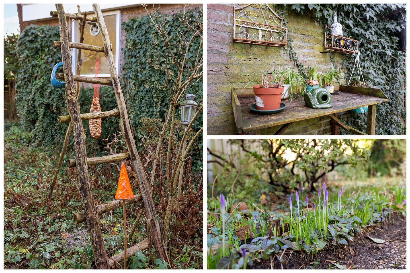 Photo 34 of Wilhelminalaan 29