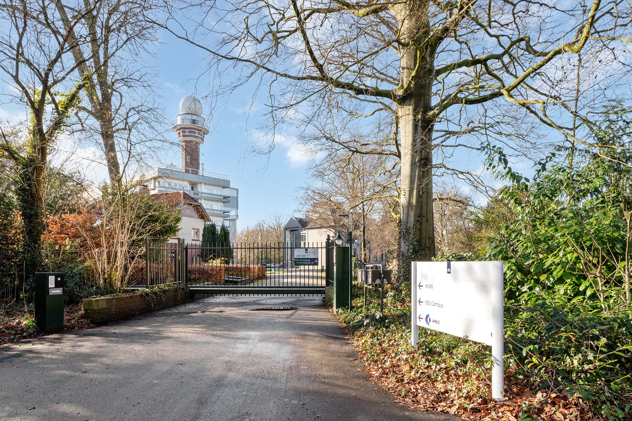 Photo 39 of Wilhelminalaan 29