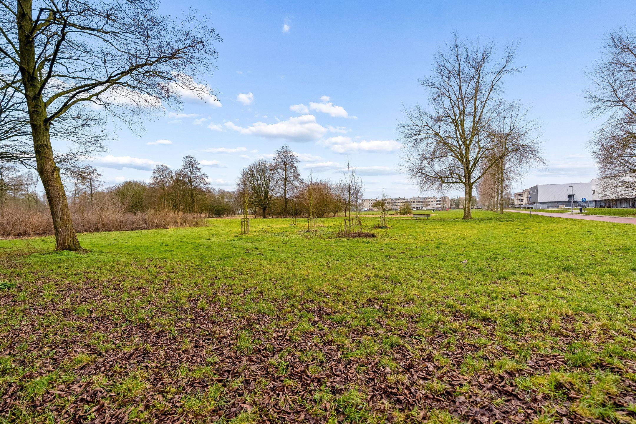 Foto 72 van Brandenborchstraat 4