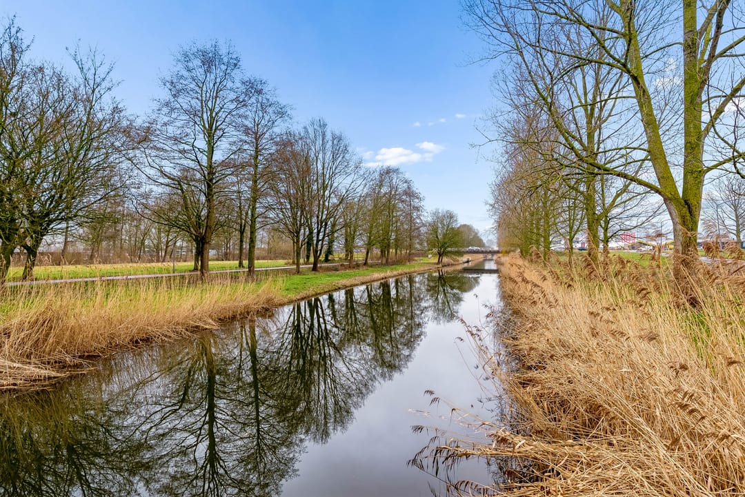 Foto 71 van Brandenborchstraat 4