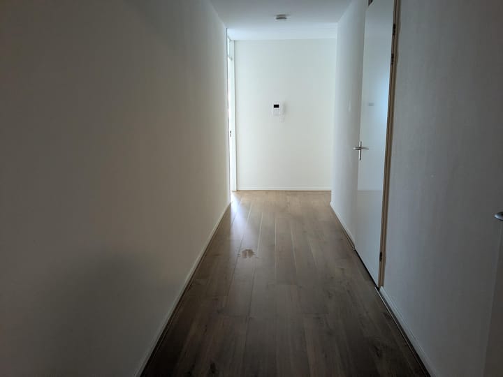 Foto 9 van Stadhoudersplantsoen 234-J