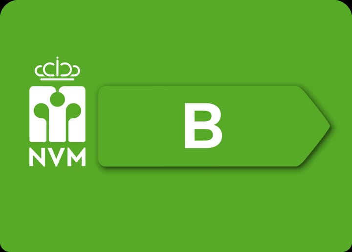 Foto 12 van Stadhoudersplantsoen 234-J