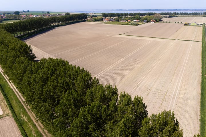 Spacious Modern Farmhouse with Large Plot and Outbuilding — 96