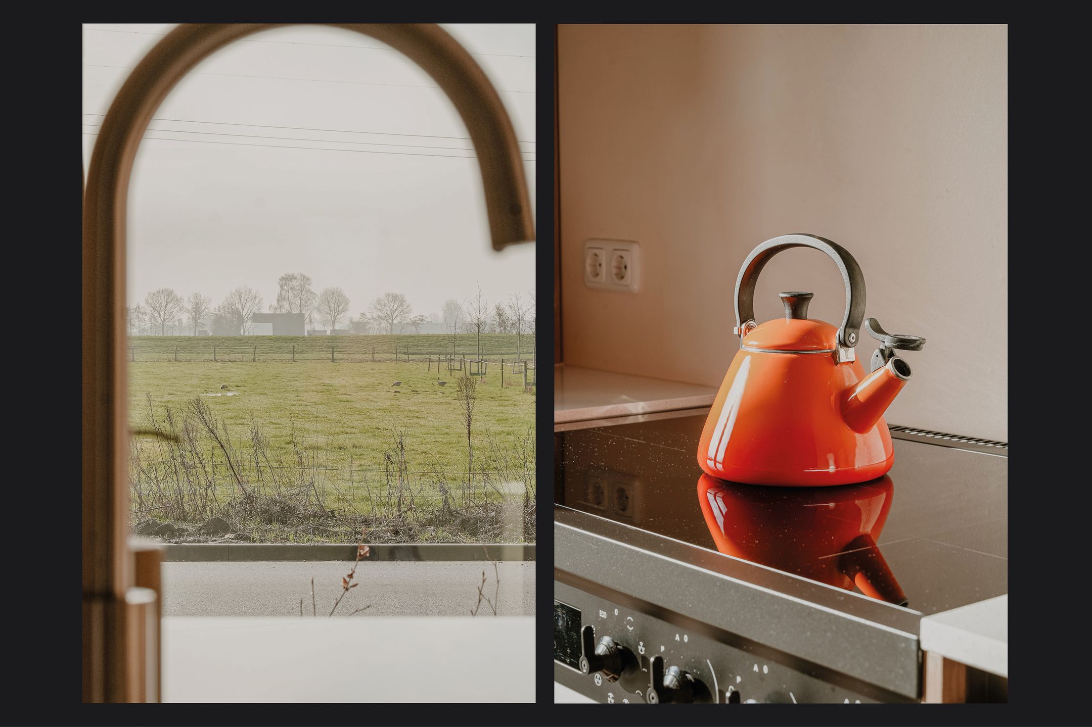 Foto 3 van Schapenveld 29