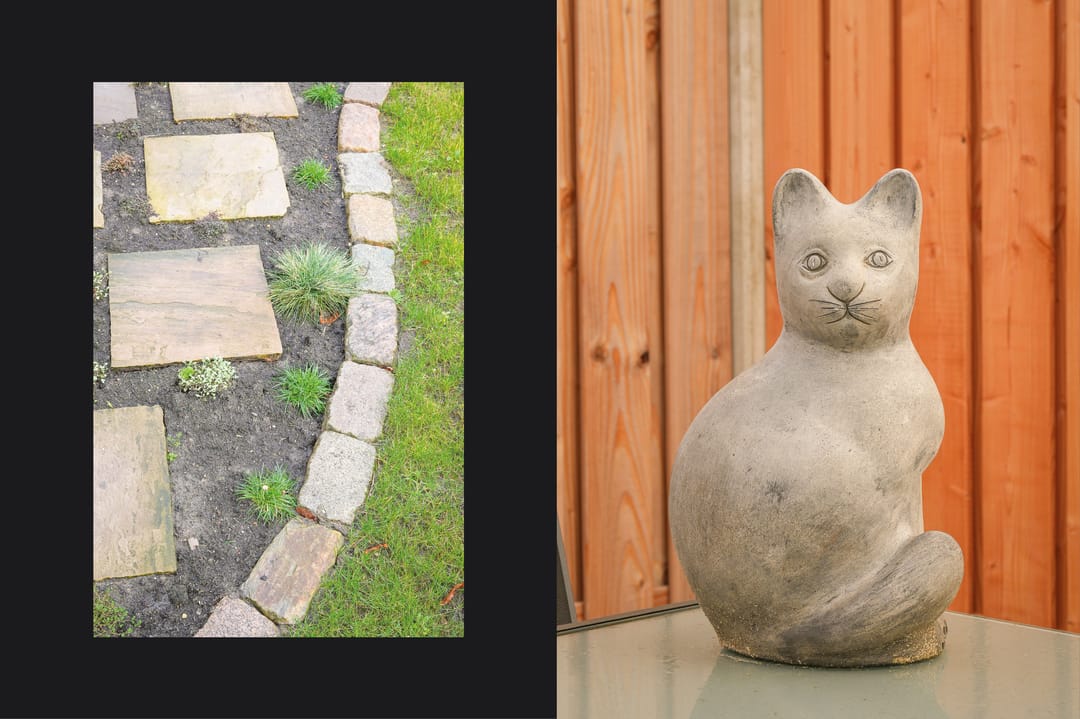 Foto 32 van Schapenveld 29