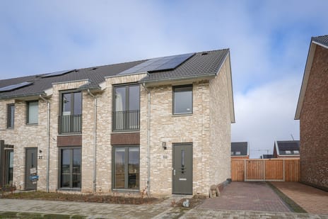 Schapenveld thumbnail