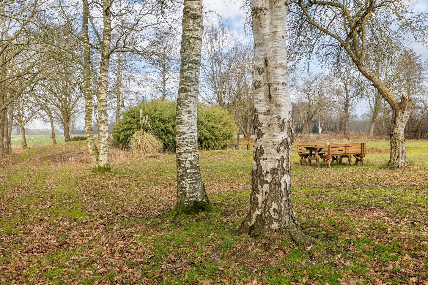 Foto 40 van Voor de Blanken 8