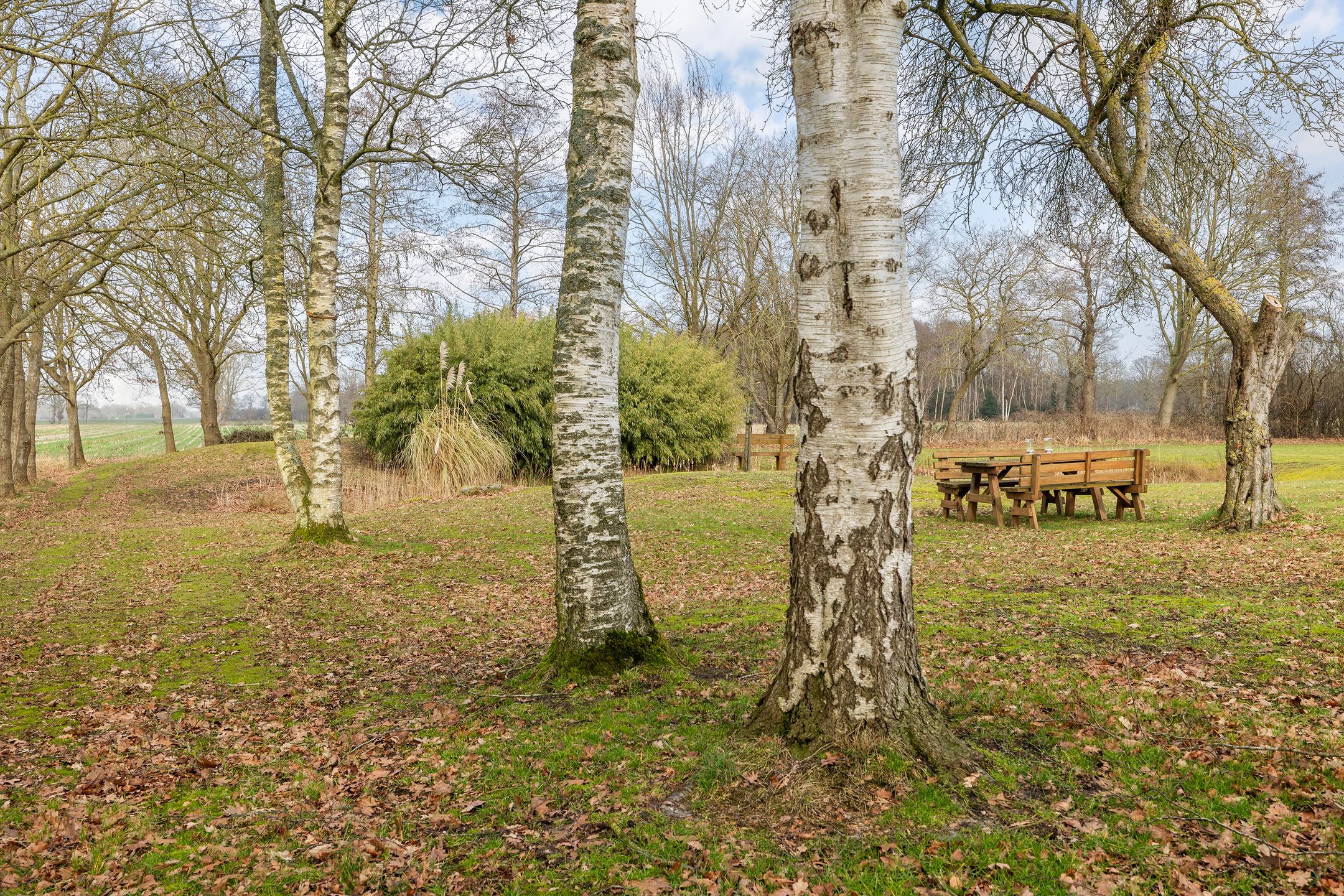 Photo 45 of Voor de Blanken 8