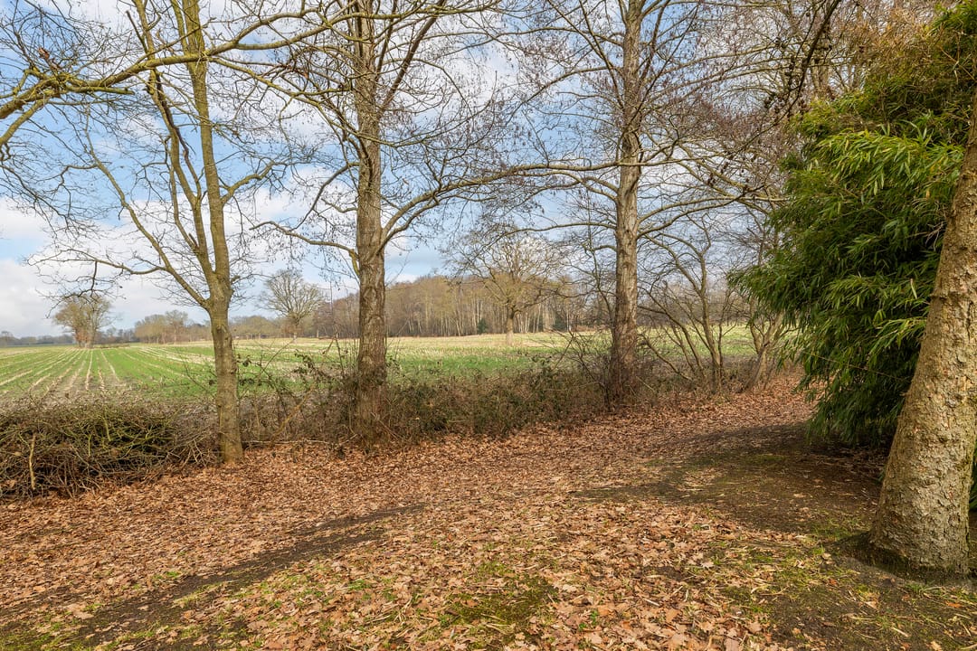 Foto 41 van Voor de Blanken 8