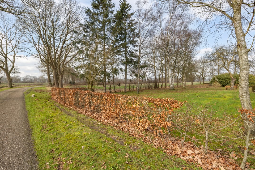 Foto 46 van Voor de Blanken 8