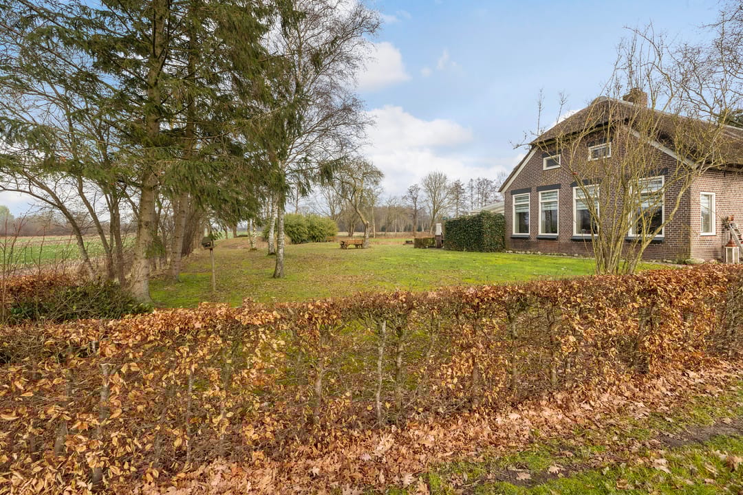 Foto 47 van Voor de Blanken 8