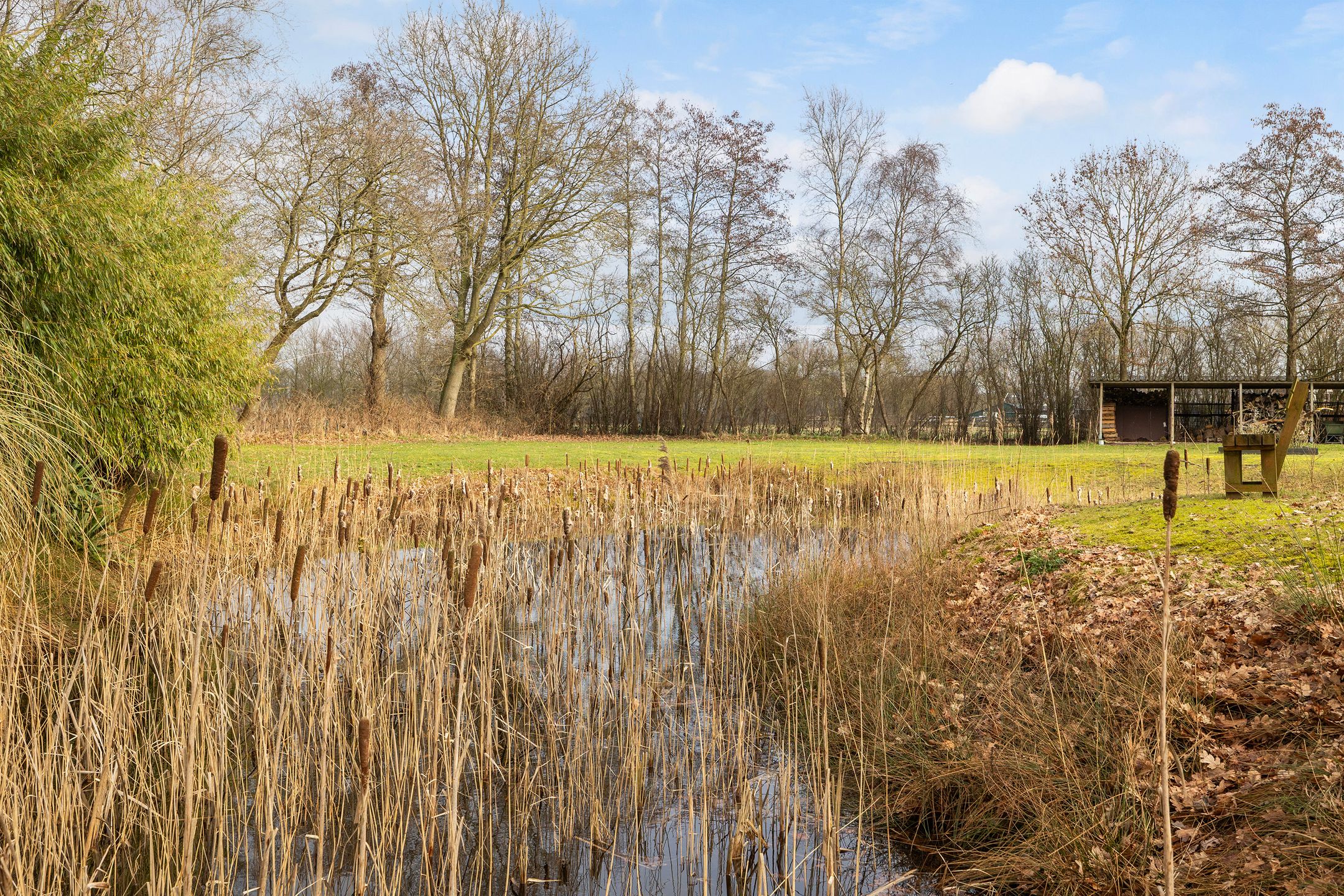 Photo 48 of Voor de Blanken 8