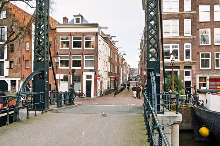 Foto 20 van Binnen Dommersstraat 16-2