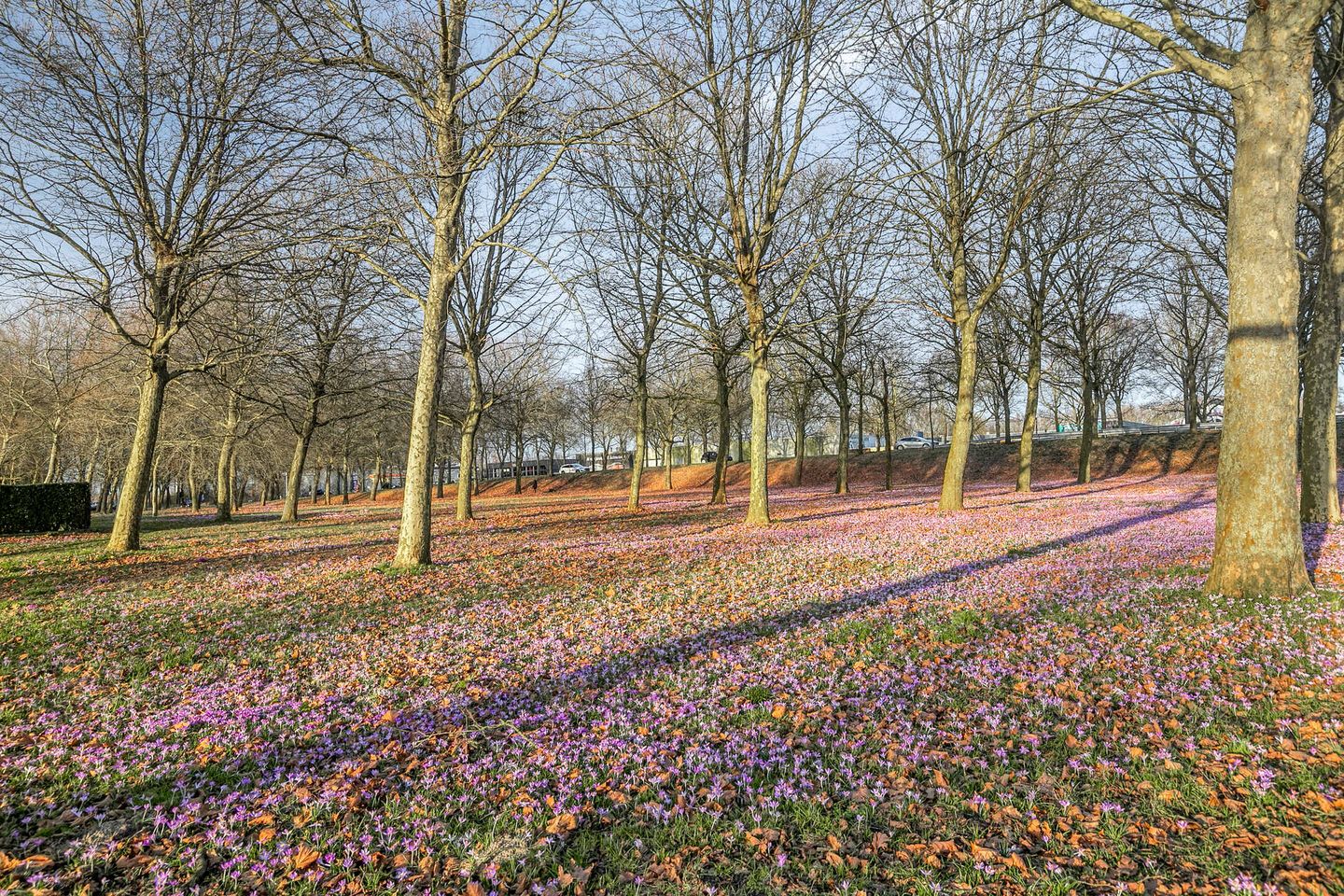 Foto 35 van Overgouw 37